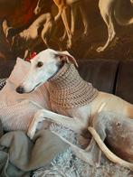 Gehaakte snood-halswarmer-colsjaal-hondenhalsband beige XL, Dieren en Toebehoren, Ophalen of Verzenden, Nieuw, Hondensjaal