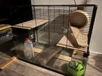 Terranium glazen bak voor gerbils of hamster, Ophalen, Kooi, 60 tot 90 cm, Zo goed als nieuw