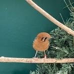 Te koop koppel damalijsters, Dieren en Toebehoren, Vogels | Overige Vogels, Meerdere dieren, Tropenvogel, Geringd