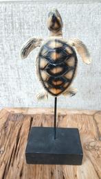 Schildpad op voet, Verzamelen, Beelden en Beeldjes, Ophalen of Verzenden, Zo goed als nieuw, Dier