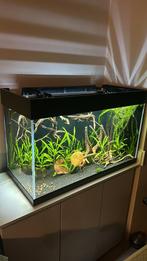 Aquael 125 optic white, Dieren en Toebehoren, Vissen | Aquaria en Toebehoren, Ophalen, Gebruikt, Overige typen