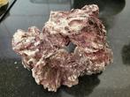 Ornament rots terra rood 15 x 12 cm, Dieren en Toebehoren, Ophalen of Verzenden