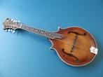 nieuwe a style bluegrassmandoline gebouwd door ned.bouwer, Muziek en Instrumenten, Snaarinstrumenten | Mandolines, Ophalen, Nieuw