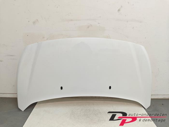 Motorkap van een Ford Transit Connect (5J), Auto-onderdelen, Carrosserie en Plaatwerk, Gebruikt, -, -, Ophalen of Verzenden