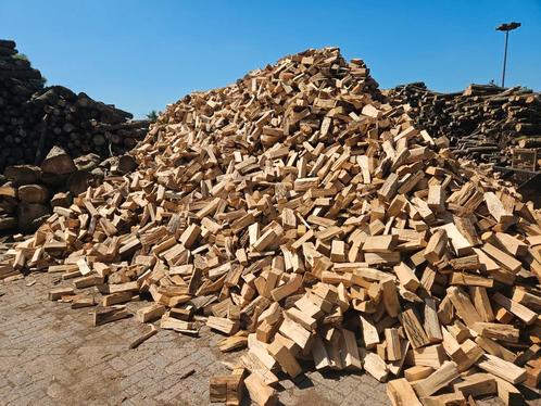 Haardhout te koop, vers gekloofd hardhout es, eik, beuk, Tuin en Terras, Haardhout, Blokken, Essenhout, 6 m³ of meer, Ophalen of Verzenden
