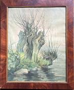 Knotwilgen  aan een waterplas, Antiek en Kunst, Kunst | Schilderijen | Klassiek, Ophalen of Verzenden
