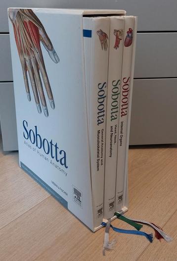 Complete Sobotta serie - Medisch - Anatomie beschikbaar voor biedingen