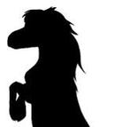 Uitloop stal/weide gezocht voor shetlander, Dieren en Toebehoren, Stalling en Weidegang, Weidegang, 1 paard of pony