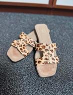 Panterprint slippers vsn Toral maat 36 nieuwstaat, Kleding | Dames, Schoenen, Slippers, Beige, Ophalen of Verzenden, Zo goed als nieuw