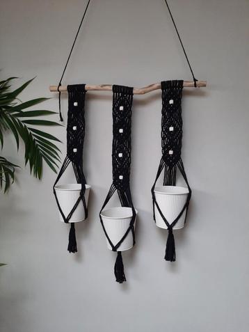 Plantenhangers aan stok. beschikbaar voor biedingen
