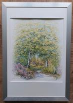 Schilderij Aquarel van berkenbomen in het bos, Antiek en Kunst, Ophalen