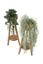 plantentafel, Ophalen, Nieuw, Rond, 60 cm of meer