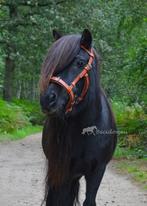 Fotoshoot Viena Fine kaptoom pony cognac, Ophalen of Verzenden, Zo goed als nieuw, Overige soorten