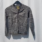 Leuk grijs jongens vest. Mt 128. Merk Pandemonium, ., Trui of Vest, Ophalen of Verzenden, Zo goed als nieuw