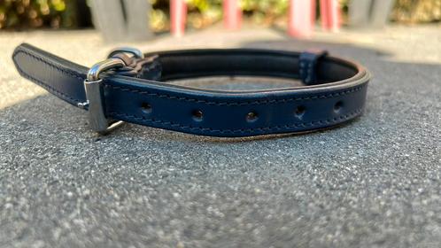 Halsband 40 cm blauw, Dieren en Toebehoren, Hondenhalsbanden en Penningen, Zo goed als nieuw, Ophalen of Verzenden