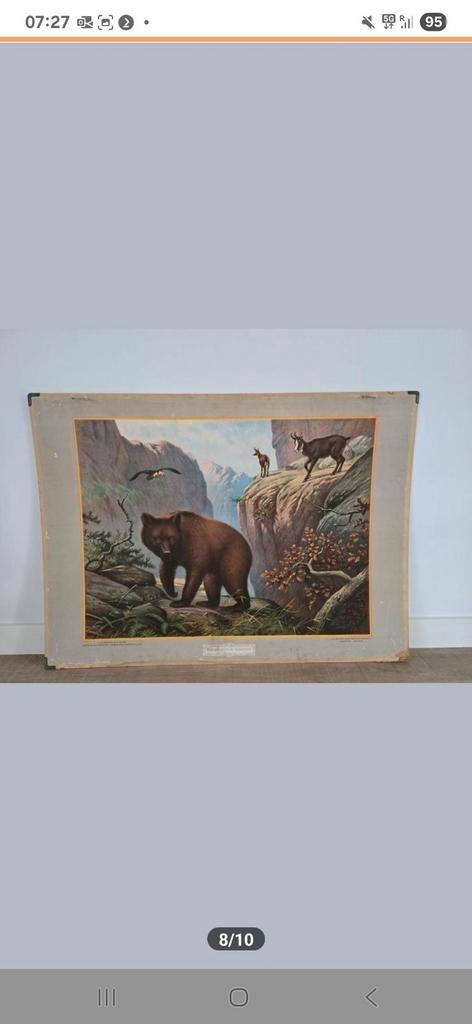 Prachtige antieke Grote schoolplaat uit 1924 €25, Antiek en Kunst, Antiek | Schoolplaten, Natuur en Biologie, Ophalen of Verzenden