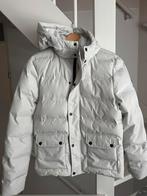 Skijas Superrebel mt 176 + brunotti broek mt 164, Overige merken, 100 tot 140 cm, Ophalen of Verzenden, Zo goed als nieuw