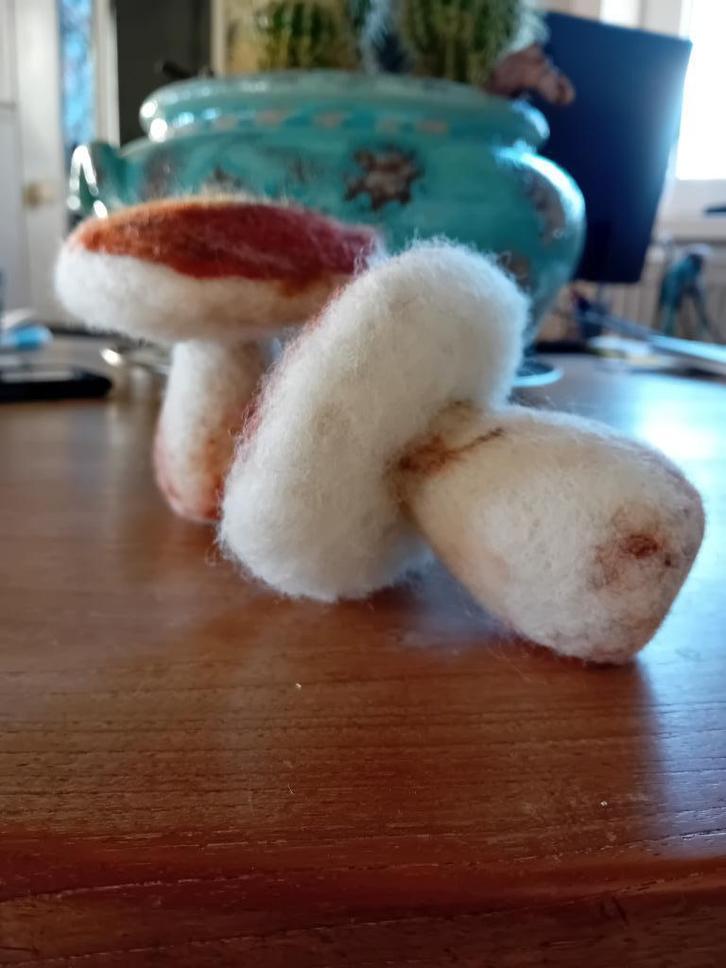 Genaaldvilte paddenstoelen. Naaldvilten, wol., Hobby en Vrije tijd, Vilt, Nieuw, Figuurtje(s), Wolvilt, Ophalen of Verzenden