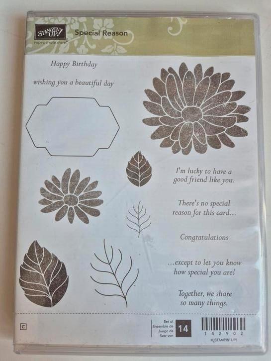 Stampin Up, Special Reason, 142902, Hobby en Vrije tijd, Stempelen, Zo goed als nieuw, Overige typen, Ophalen of Verzenden