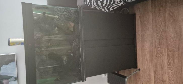 VERKOCHT Aquarium met zebra cichliden!, Dieren en Toebehoren, Vissen | Aquaria en Toebehoren, Zo goed als nieuw, Gevuld zoetwateraquarium