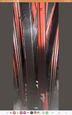 Carve skisets van 170cm, nieuw, zonder bindin  €9,99 per set, Sport en Fitness, Skiën en Langlaufen, Overige merken, 160 tot 180 cm