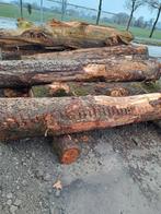 STAMHOUT EIKEN DOUGLAS BERK ACACIA Niet vers €85 per kuub, Tuin en Terras, Haardhout, 3 tot 6 m³, Ophalen, Eikenhout, Stammen