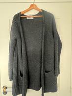 Sissy Boy halflang grijs vest met wol  M, Kleding | Dames, Truien en Vesten, Maat 38/40 (M), Sissy-Boy, Ophalen of Verzenden, Zo goed als nieuw