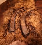 2 waterbuffel hoorns decoratie, Ophalen of Verzenden, Gebruikt