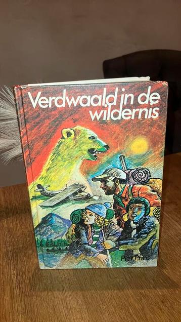 KR-7 Piet Prins. Verdwaald in de wildernis beschikbaar voor biedingen