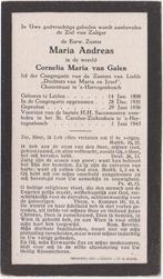 zr. Cornelia van Galen 1898 Leiden + 1943 Den Bosch, 45 jaar, Verzamelen, Bidprentjes en Rouwkaarten, Verzenden