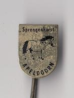 Apeldoorn Sprengenhorst Paard speldje, Verzamelen, Speldjes, Pins en Buttons, Gebruikt, Niet vindbaar, Niet vindbaar, Speldje of Pin
