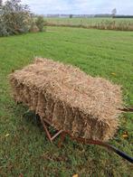 Hooi kleine pakken ca. 20 kilo, 1e snee, Dieren en Toebehoren, Schaap