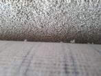 Coupon tapijt beige / lichtgeel 600x150, Huis en Inrichting, Stoffering | Vloerbedekking, Ophalen, Beige, Nieuw, Minder dan 10 m²