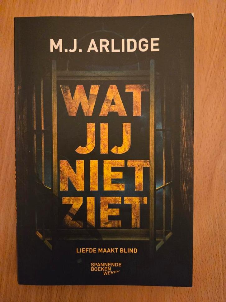 Wat jij niet ziet - M.J. Arlidge, Boeken, Thrillers, Zo goed als nieuw, Nederland, Ophalen of Verzenden