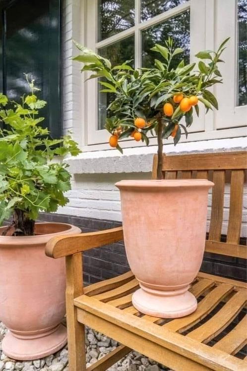 3 delige terracotta potten  ( groot ), Tuin en Terras, Bloempotten, Nieuw, Terracotta, Binnen, Balkon, Tuin, Rond, Ophalen