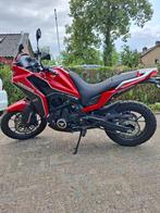 Moto Morini X-Cape 2024, Motoren, 649 cc, Particulier, Meer dan 35 kW, Toermotor