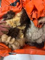 Schapenwol, Hobby en Vrije tijd, Spinnewielen en Spinnen, Ophalen, Spinnewiel