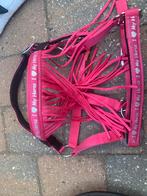 Halster te koop maat pony, Dieren en Toebehoren, Paarden en Pony's | Overige Paardenspullen, Ophalen of Verzenden, Zo goed als nieuw