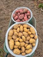 Biologische aardappelen, Ophalen