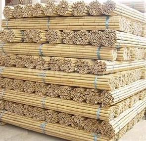 25 bamboestokken 270cm, Tuin en Terras, Kweekspullen, Nieuw, Overige typen, Ophalen