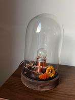 Stolp lamp met droogbloemen, Ophalen, Zo goed als nieuw