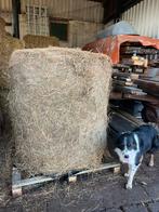 Hooibalen Gedroogd hooi in plastic, Ophalen, Vee