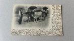 Ossenspan trekt kar met  dakpannen 1904, Ophalen of Verzenden, Voor 1920, Gelopen, Overige thema's