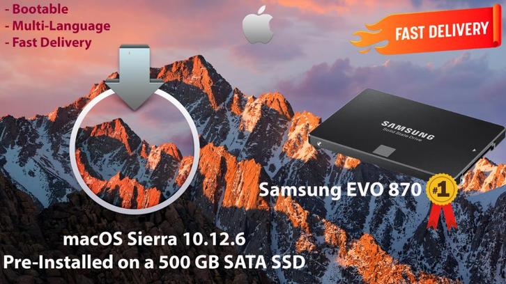 macOS Sierra 10.12.6 VoorGeïnstalleerd op SSD van 500GB OSX, Computers en Software, Besturingssoftware, Nieuw, MacOS, Ophalen of Verzenden