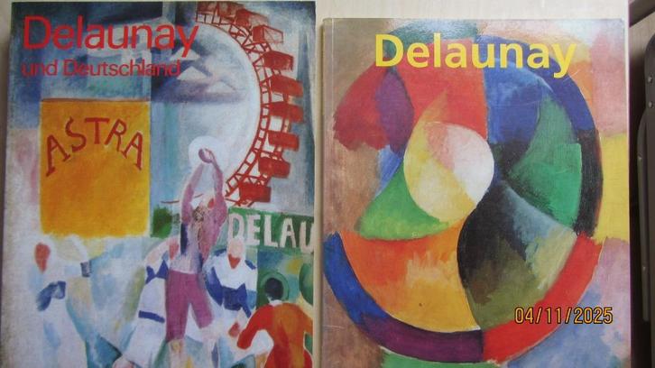 2 boeken Delaunay, Boeken, Kunst en Cultuur | Beeldend, Gelezen, Ophalen of Verzenden