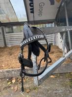 (Mini) shetlander menhoofdstel, Dieren en Toebehoren, Ophalen of Verzenden, Nieuw, Overige soorten