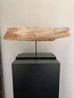 Dierenbot op statief, Ophalen of Verzenden, Gebruikt