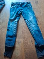 Animo broek 34/36, Animo.com, Animo.com, Dressuur, Animo