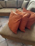 Sier kussens, Huis en Inrichting, Woonaccessoires | Kussens, Ophalen, Zo goed als nieuw, Overige kleuren, Vierkant