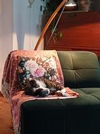 Design Ikea leeslamp, Ophalen, Zo goed als nieuw, 150 tot 200 cm